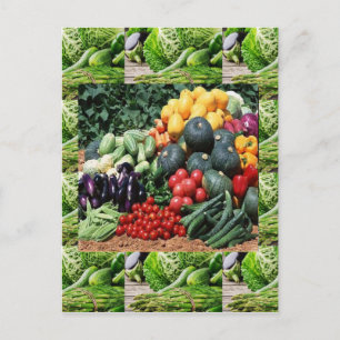Jordbrukare marknadsför veggie delight chefs cuisi vykort