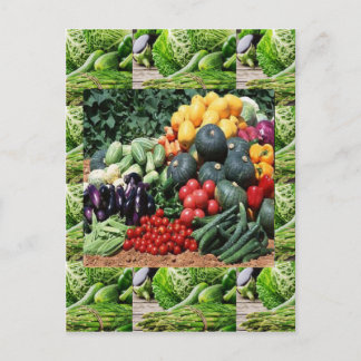 Jordbrukare marknadsför veggie delight chefs cuisi vykort