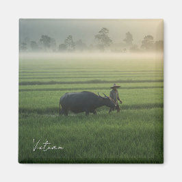Jordbrukare med Buffalo Vietnam Travel Magnet