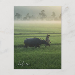 Jordbrukare med Buffalo Vietnam Travel Vykort
