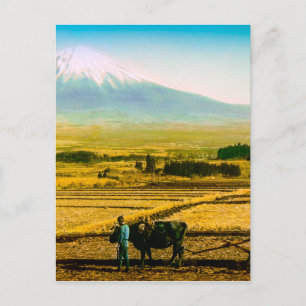Jordbrukare Oxen Plowing Fält i Shadow of Mt. Fuji Vykort