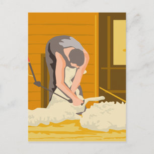 Jordbrukare Searing Sheep WPA Vykort