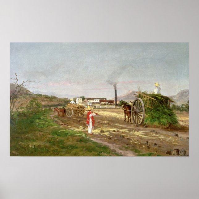 Jordbrukare som samlar in Käpp av socker Poster (Framsidan)