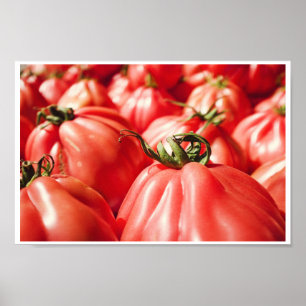 Jordbrukarens Red Tomato Photography Köks Poster