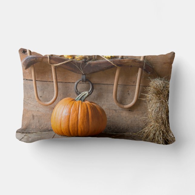 Jordbrukarmuseet. Pumpkin i ladugård med bala av h Lumbarkudde (Framsida)