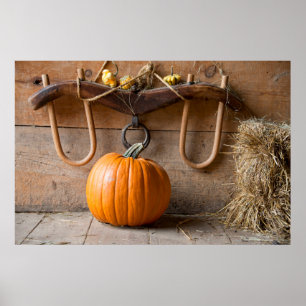 Jordbrukarmuseet. Pumpkin i ladugård med bala av Poster