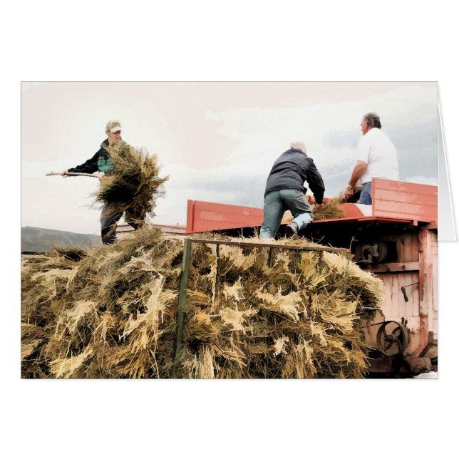 JORDBRUKKORT HÄLSNINGSKORT (Framsidan Horizontal)