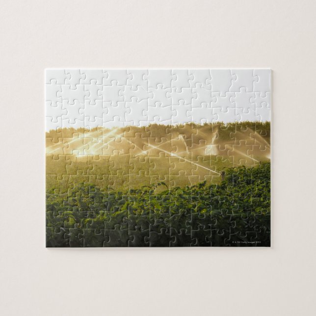 Jordbruks- bevattningsystem som bevattnar 2 pussel (Horisontell)