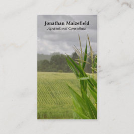 Jordbruks- maize landskap fotoet visitkort