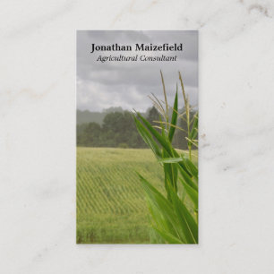 Jordbruks- maize landskap fotoet visitkort