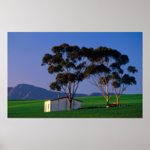 Jordbruksarbetares stuga och vete Fält, Overberg Poster