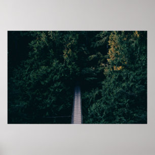 JORDBRUKSFOTOGRAFI AV HANGGE BRIDGE NÄRA TRÄD POSTER