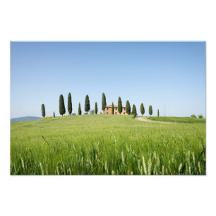 Jordbrukshus i Toscana med cypressar Fototryck