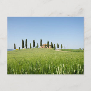 Jordbrukshus i Toskana med cypresses-vykort Vykort