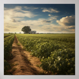 Jordbruksjordnöten Fält Poster