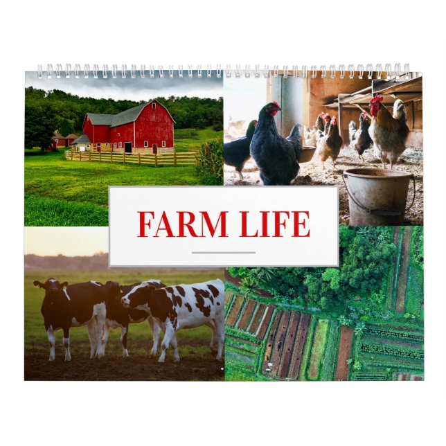 Jordbrukskalendrar - boskapsmur - Farm Life Kalender (Omslag)