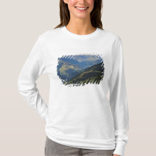 Jordbruksmark och by i Himalaya Tee