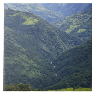 Jordbruksmark och Himalaya-skog i Mangdue-dalen Kakelplatta