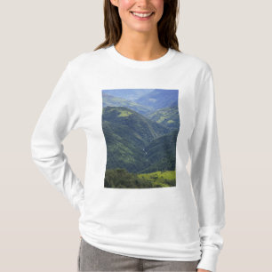 Jordbruksmark och Himalaya-skog i Mangdue-dalen Tee