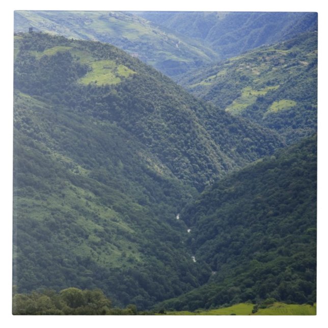 Jordbruksmark och Himalaya-skog i Mangdue valley Kakelplatta (Framsidan)