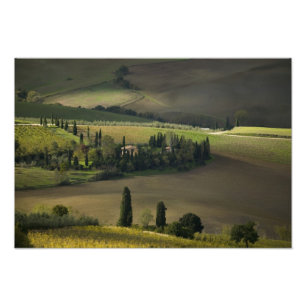 Jordbruksmark runt Montepulciano, Toscana, Italien Fototryck