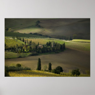 Jordbruksmark runt Montepulciano, Toscana, Italien Poster