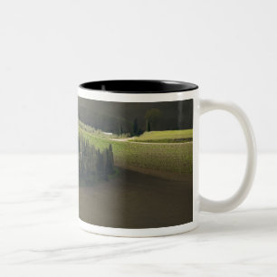 Jordbruksmark runt Montepulciano, Toscana, Italien Två-Tonad Mugg