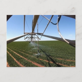 Jordbruksmarkvykort Vykort