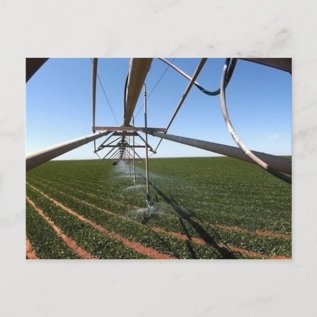 Jordbruksmarkvykort Vykort (Framsida)