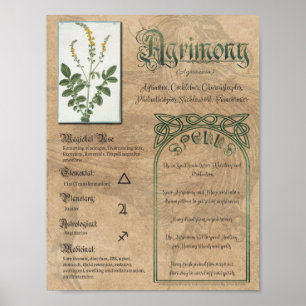 Jordbruksväxter Bok i Shadows Pagan Wiccan Poster