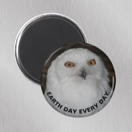 Jorddag varje dag, soppa Uggla foto Magnet