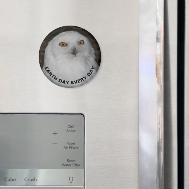 Jorddag varje dag, soppa Uggla foto Magnet (In Situ (Fridge))