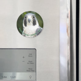 Jorddag varje dag, varje dag, Peregrine Falcon Pho Magnet