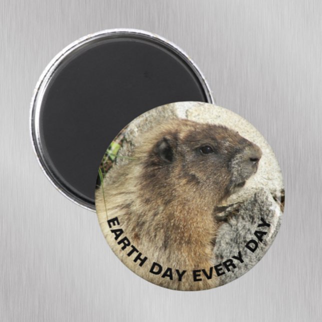 Jorddagen varje dag Hoary Marmot Photo Magnet (Skapare uppladdad)