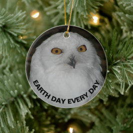 Jorddagen varje dag Snowy Uggla Julgransprydnad Keramik