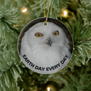Jorddagen varje dag Snowy Uggla Julgransprydnad Keramik