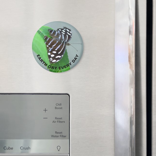 Jorddagen varje dag, varje dag, fotografi av blåvå magnet (In Situ (Fridge))