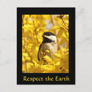 Jorddagstidningen Chickadee Bird Gula blommor vyko Vykort