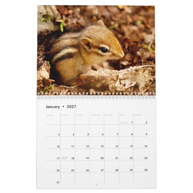 Jordekorrar! En toppen gullig väggkalender 2013 Kalender (Jan 2027)