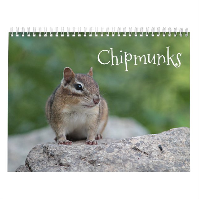 Jordekorrar Kalender (Omslag)