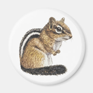 Jordekorre Cutie Magnet