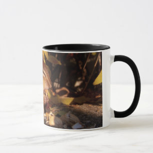 Jordekorre - mugg