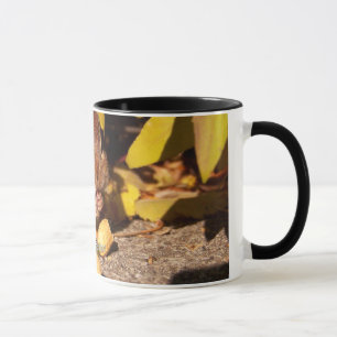 Jordekorre - mugg
