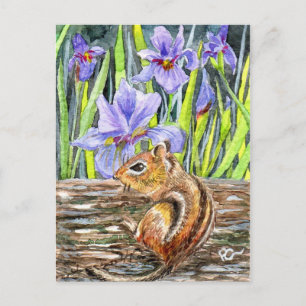 Jordekorre och Irises Vykort
