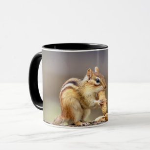 Jordekorre som äter en jordnöt mugg