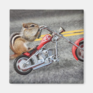 Jordekorrebiker som rider en motorcykel magnet