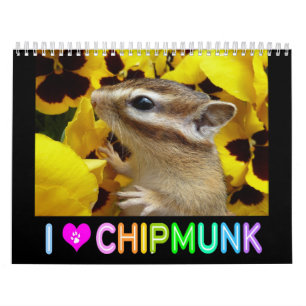 Jordekorrefoto (3) kalender