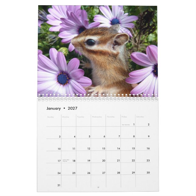 Jordekorrefoto (3) kalender (Jan 2027)