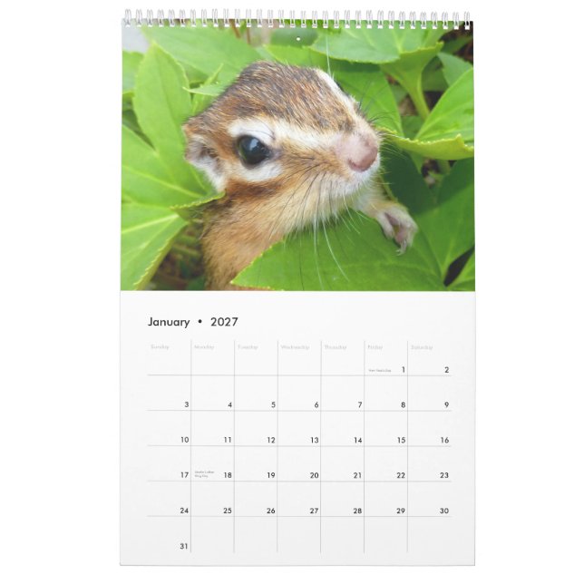 Jordekorrefoto (4) kalender (Jan 2027)