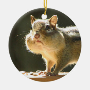 Jordekorrefoto Julgransprydnad Keramik